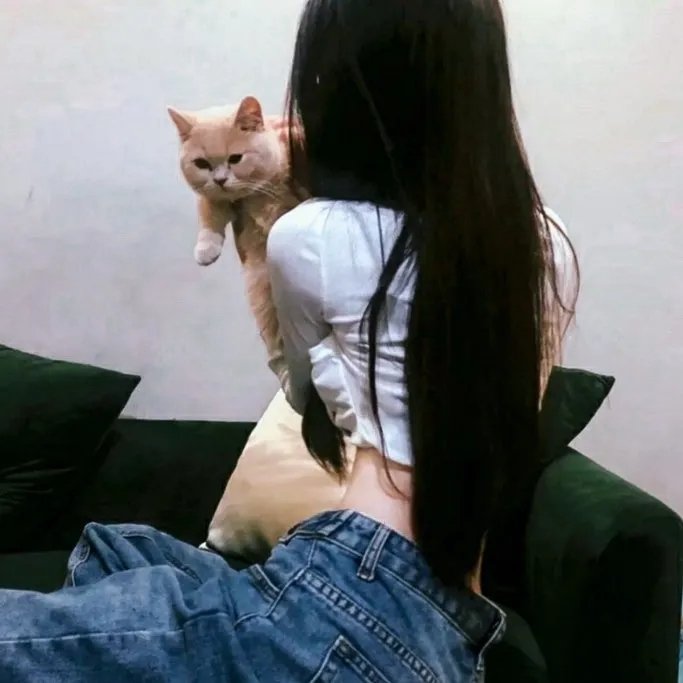 外科医生马丁 第四季