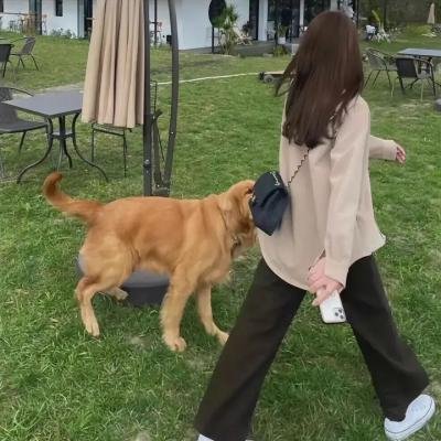 天下无诈